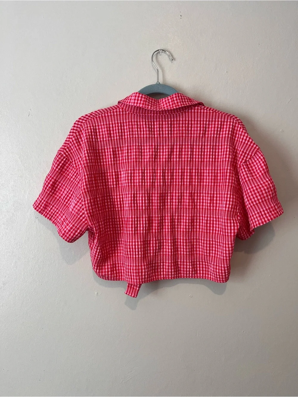 Red and Pink Gingham Tie-Front Crop Button-Up Top and matching shorts